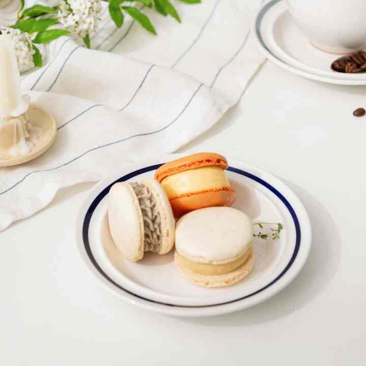 Retro line 円形 プレート 22.7cm 2枚セット［4色］