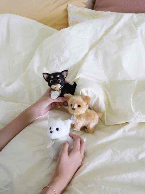 Cosymosy Real Puppy［3色］