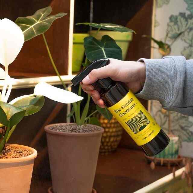 サンスプリンクル スプレータイプ 植物栄養剤 500ml 2点セット