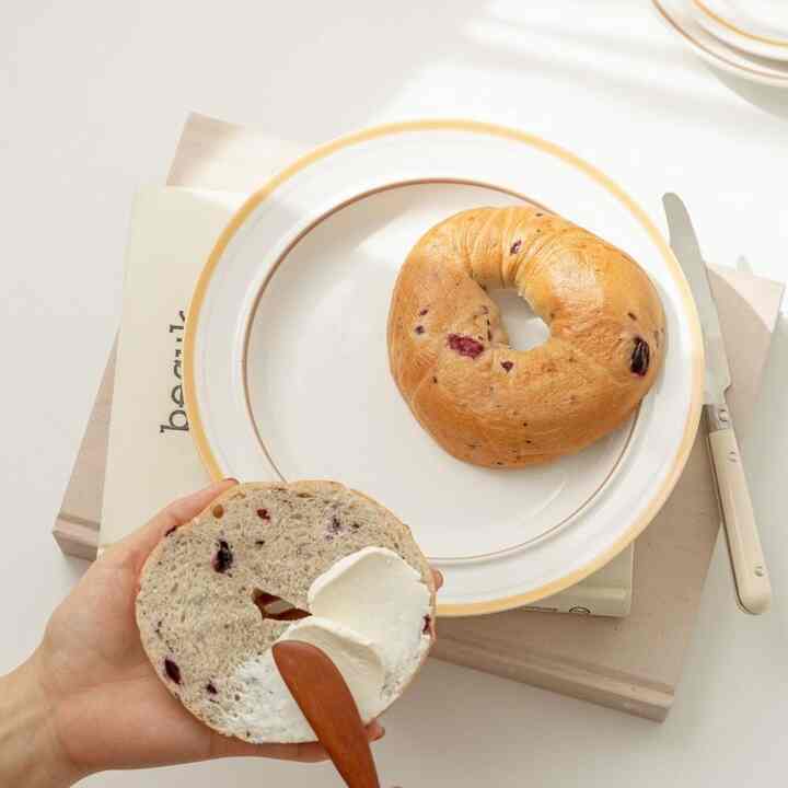 Retro line 円形 プレート 22.7cm［4色］