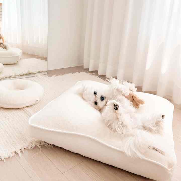 My Baby ペット クッション