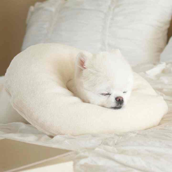 My Baby 犬用 エリザベスカラー［3サイズ］