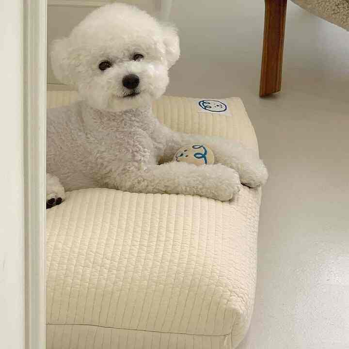 WE ARE WE ARE ペット用 クッションカバー［4色］