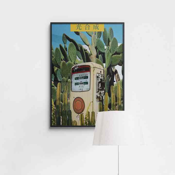 【KKIMAE】光合成 ポスター［5サイズ］