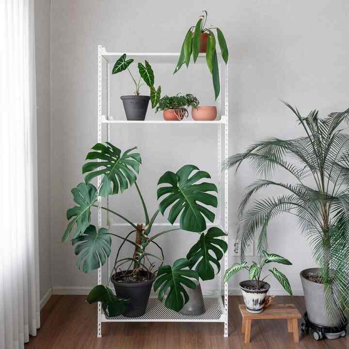 スチール プラントラック［2色・2種・45サイズ］