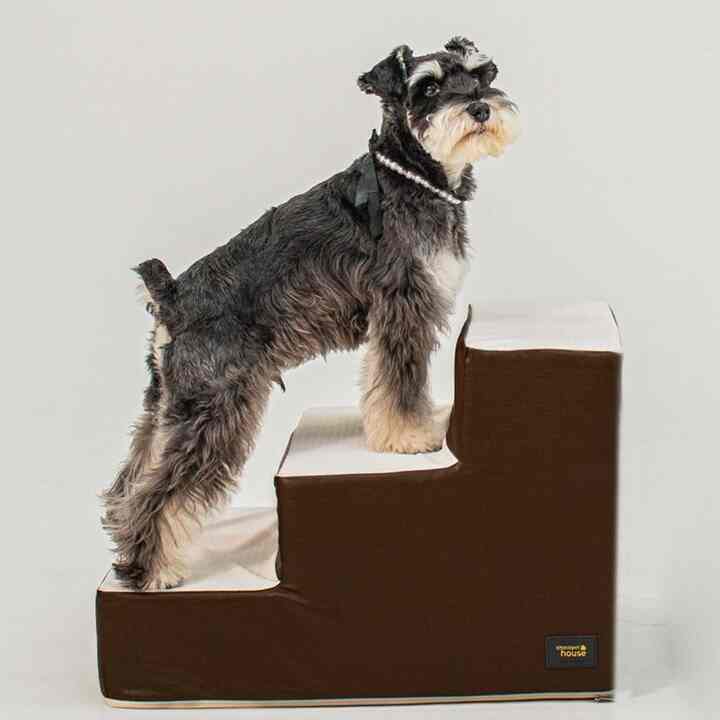 ROYAL SQUARE ペットステップ［5色］