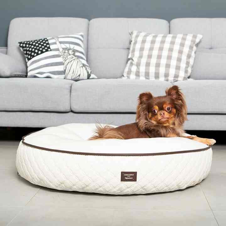 ペット用 クッション 座布団 3.0 ブラックホール［10種］