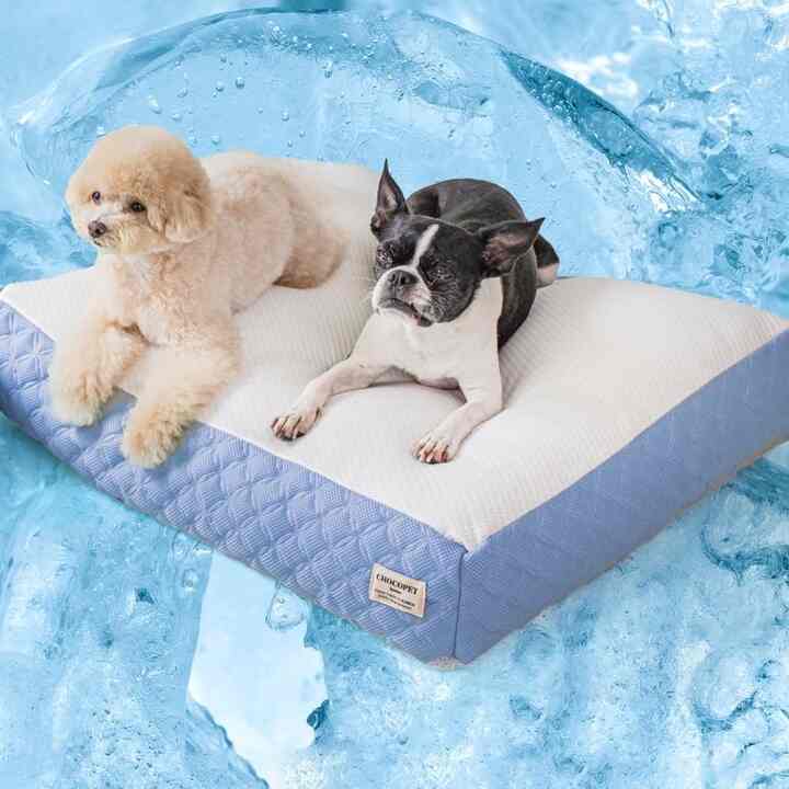 ペット用 クーリング 座布団 ワッフル 2.0 一般型