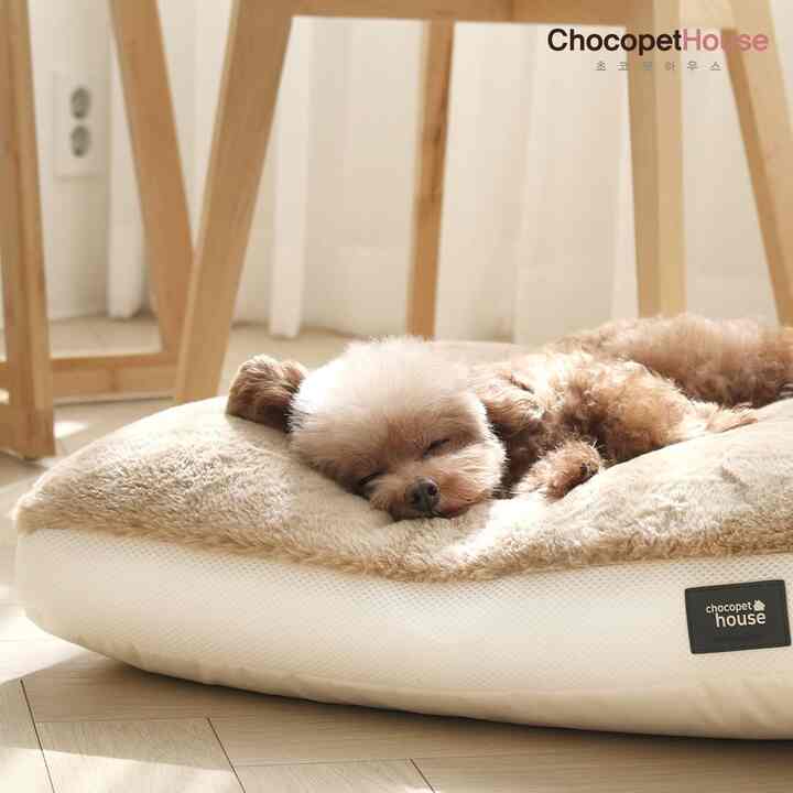 あったかい スノー モチ クッション［3色・2サイズ］