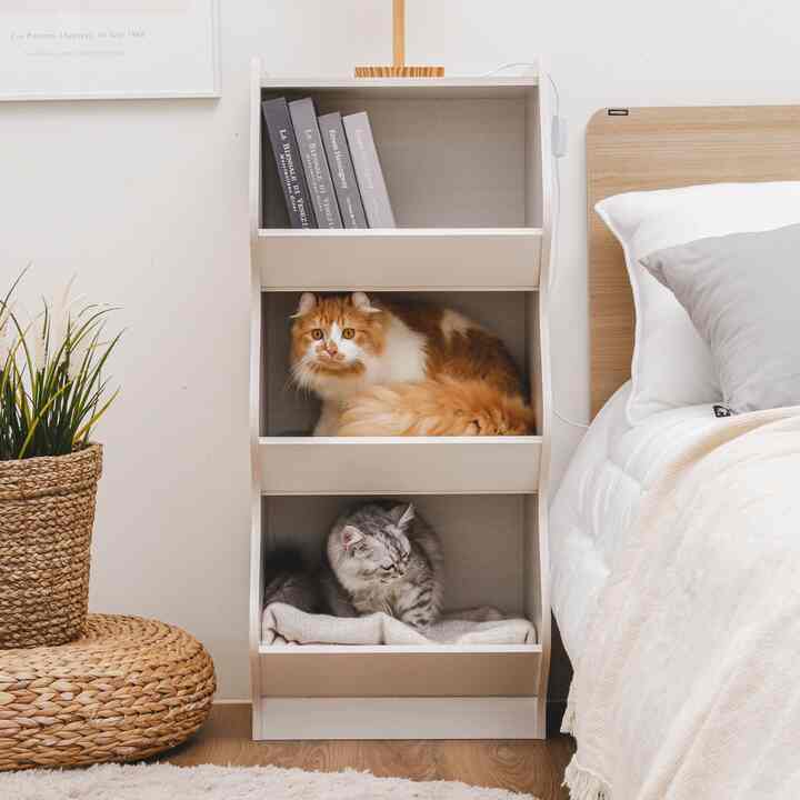 3段 キャンとタワー