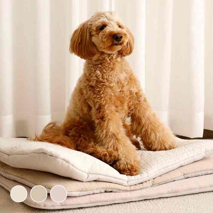 純綿 ペット用 クッション［3色・2サイズ］