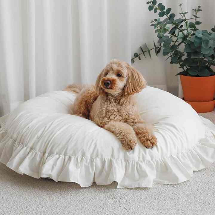 ケイシー フリル ペット用 クッション［2サイズ］