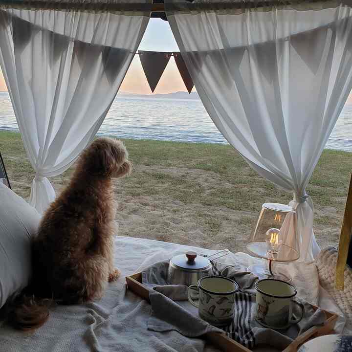 NATURAL FIT トランク カーテン［3種］