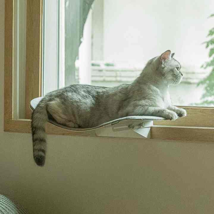 猫用 窓枠 ハンモック ver.1.5 マット付き［8色］