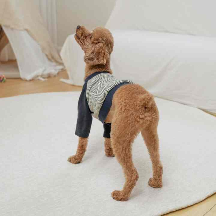 bambi 防水 ペット ラグ 円形［5色・4サイズ］