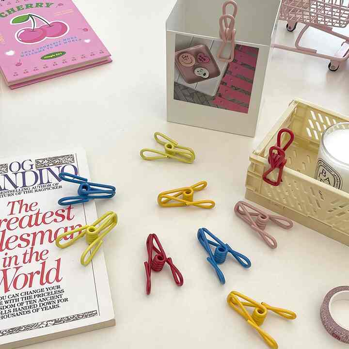 カラーピンチ10個セット