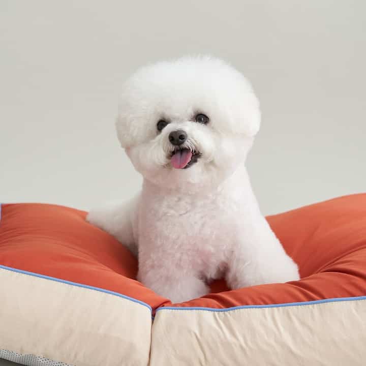 ペット クッション［2色］