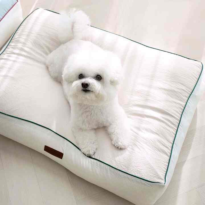 Cloud ペット クッション アレルギーケア［4色］