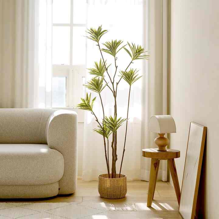 フェイクグリーン wanneci［3サイズ］