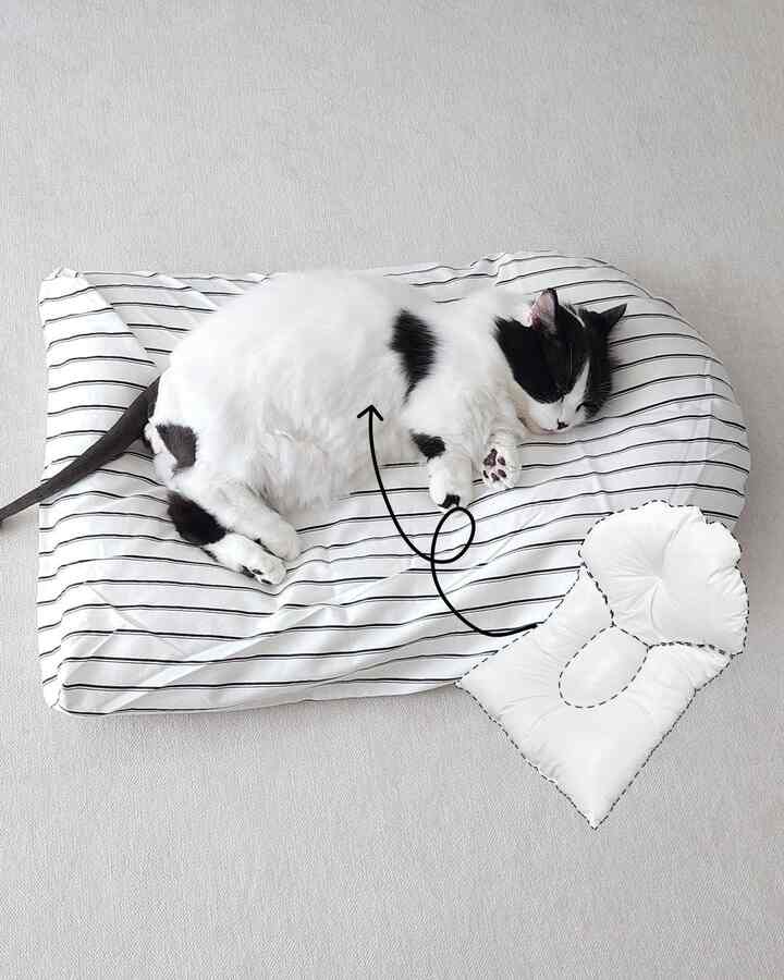 【中身付き】ペット クッション ストライプ［3色・2サイズ］