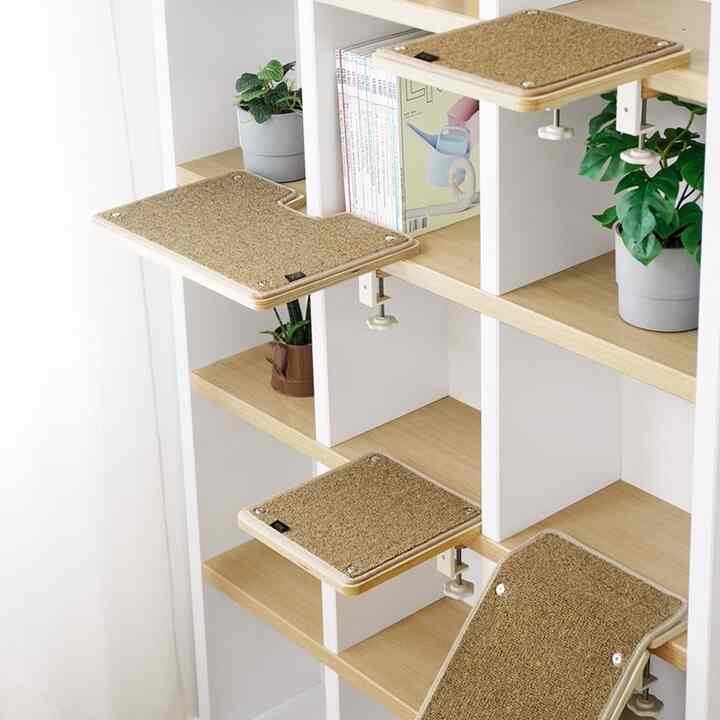 キャットウォーク［3種］