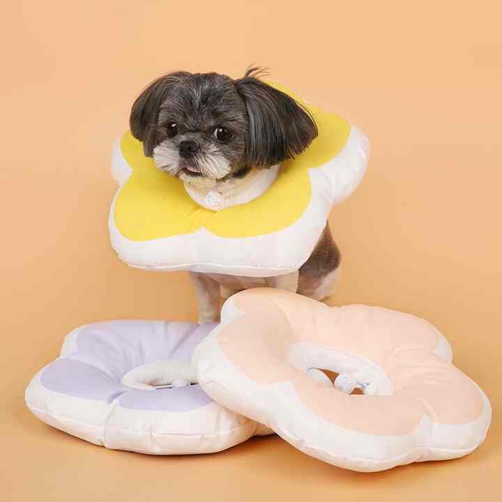 花びら型エリザベスカラー