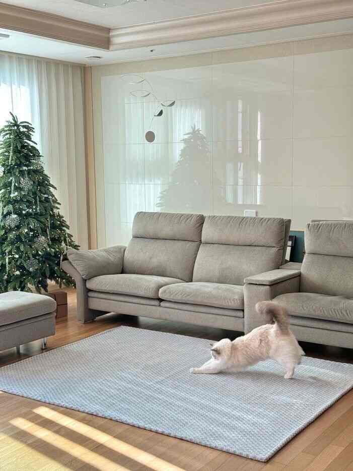 チェス ラグ［3色・3サイズ］