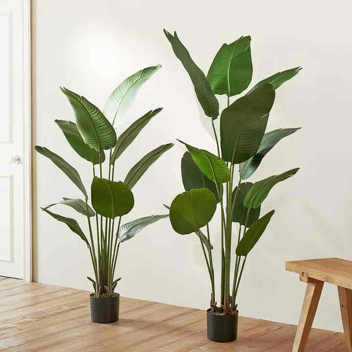 BIRD OF PARADISE FLOWER フェイクグリーン［2サイズ］