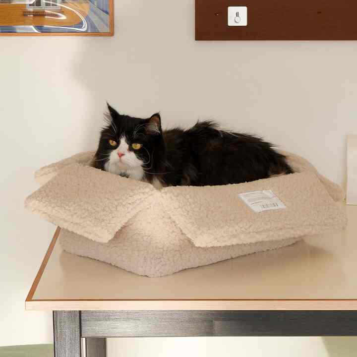 cat box teddy 猫用 ペットベッド