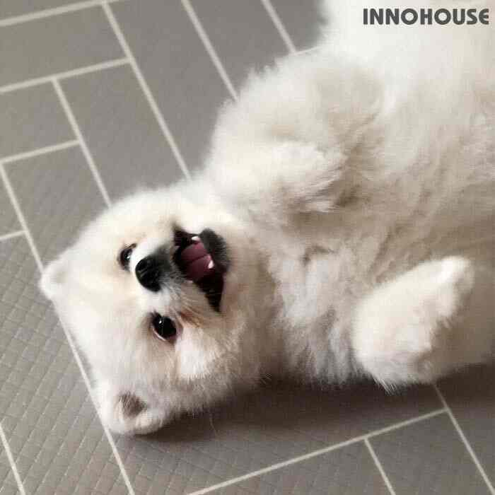 フレンズ 両面 防水 マット［2色・2サイズ］