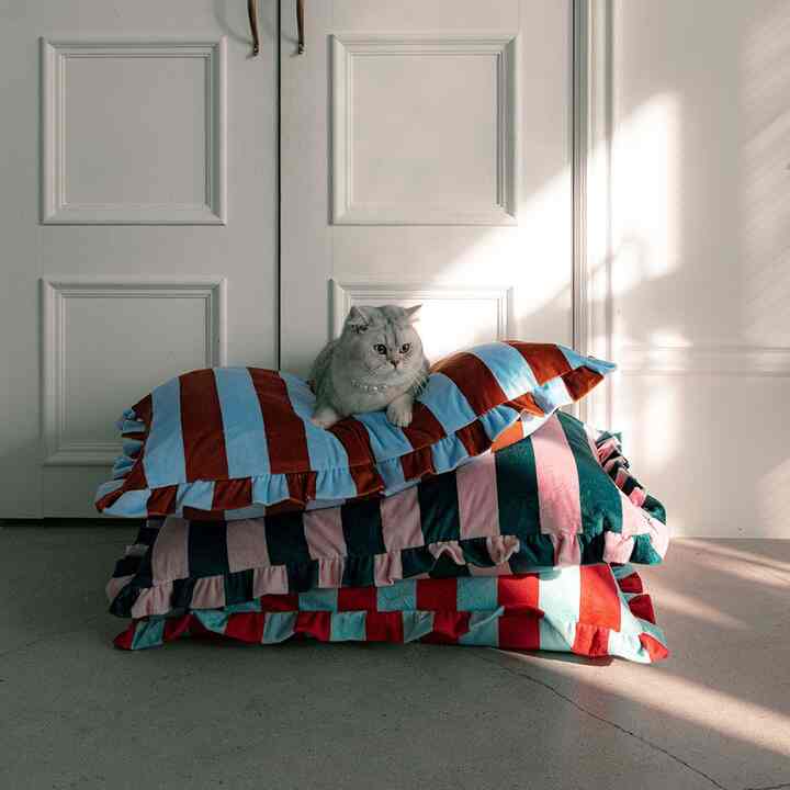 【中身付き】ボールド ストライプ ペットクッション［3色］