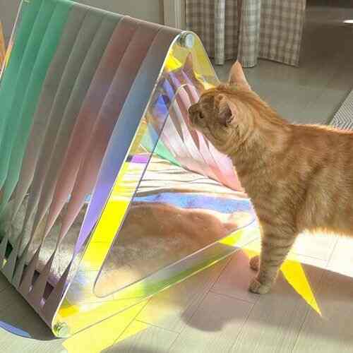 AURORA ペットハウス