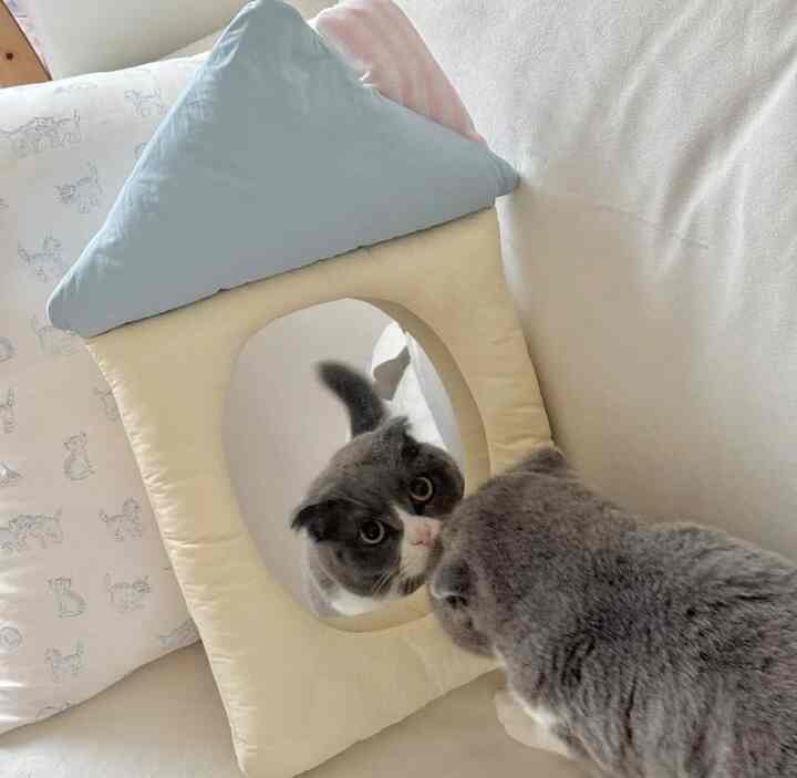 クッション ミラー［4種］