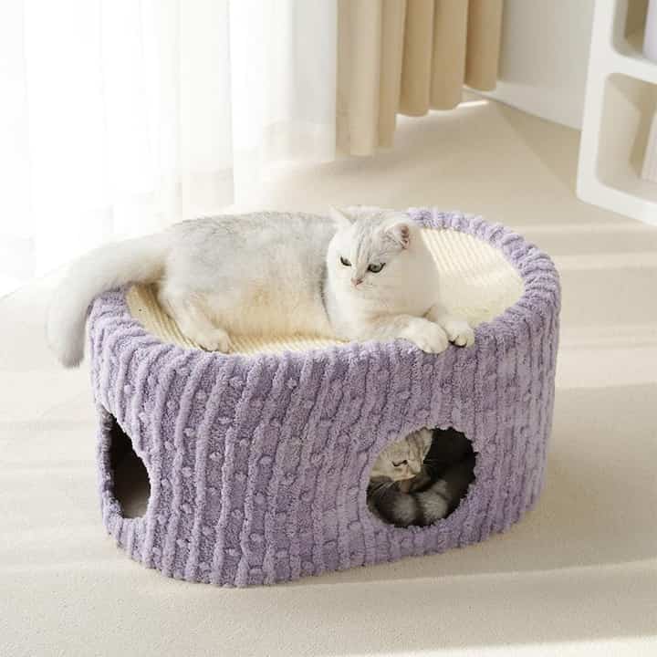 猫用ハウス 大型