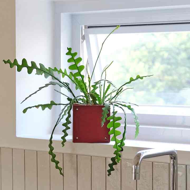 MFW 001 壁掛け 収納ボックス［11色］