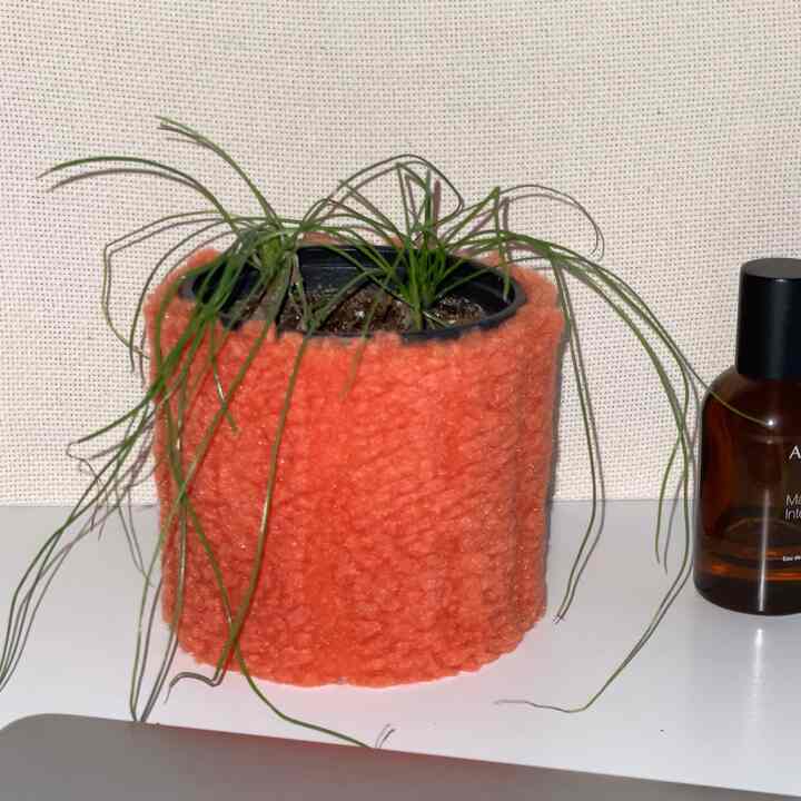 pot cover carrot ポットカバー