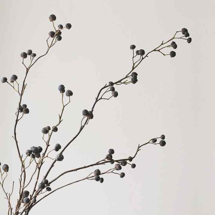 ブラックベリー 造花