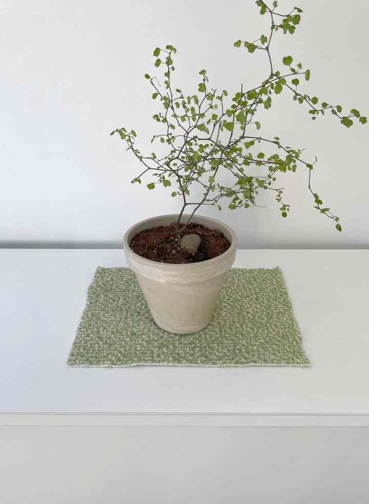 ブークレ テーブルクロス green［2サイズ］