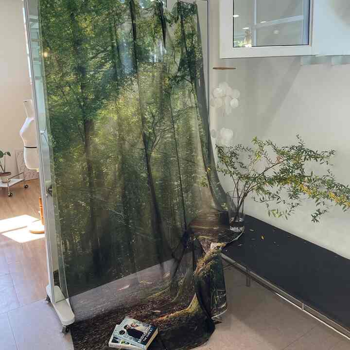 シフォン ファブリックポスター Sunny Forest［2サイズ］