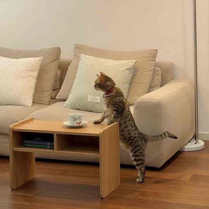 MAJOR MULTI サイドテーブル 収納付き［2色］