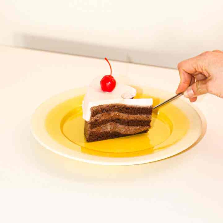 fog プレート 14:00 ギフト包装