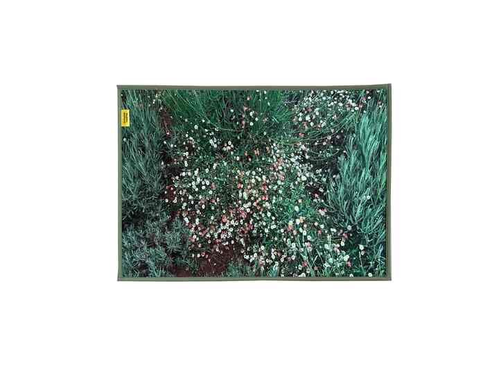 Landscape foot mat［5種］