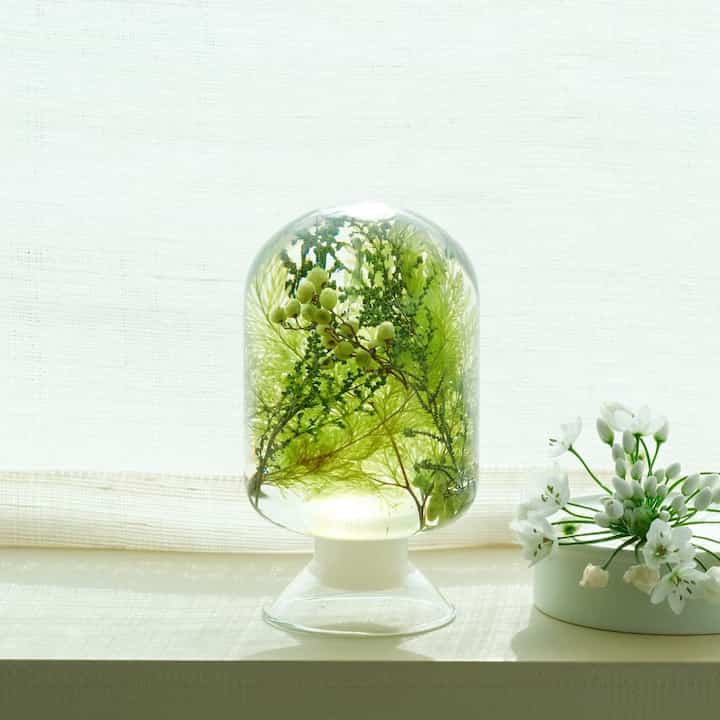 pieces of time オブジェ Water Plant［2サイズ］