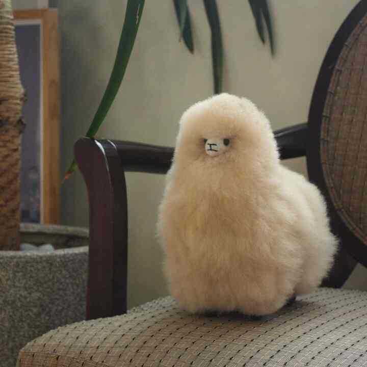 alpaca doll B type M size［3色］