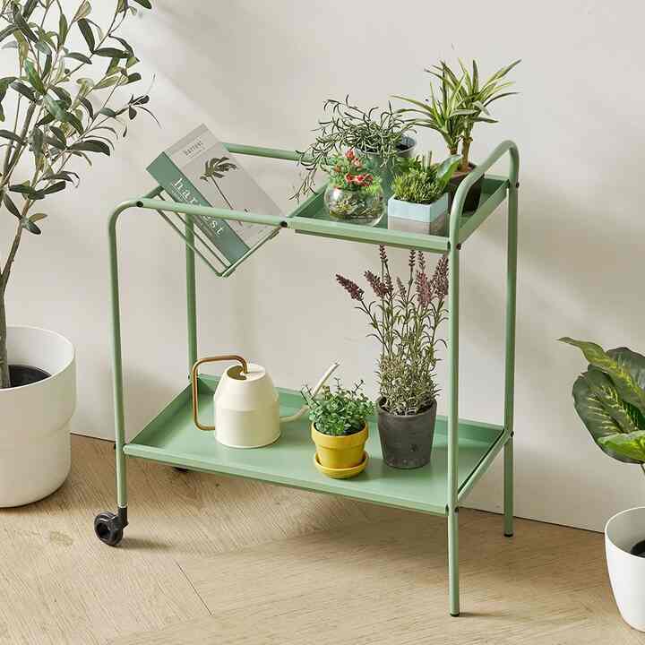 HAYD プラントスタンド キャスター付き V型［2色］