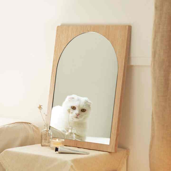 BESTA 卓上ミラー