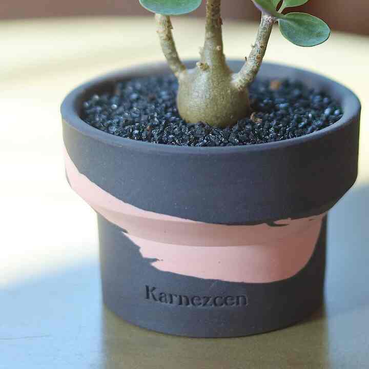 Black pink marble toy［3種］