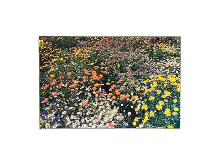 Secret Garden landscapeラグ［3サイズ］