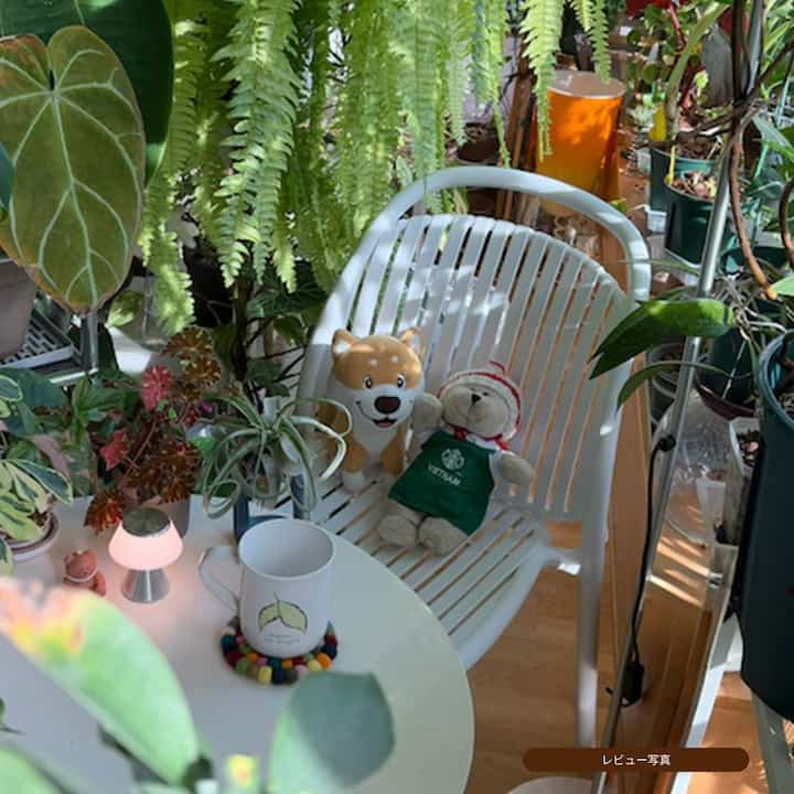 Manila チェア[3色]