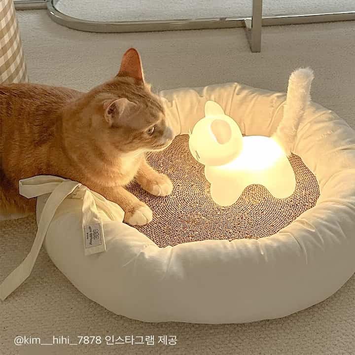 JELLY NYANGI ムードランプ［2色］